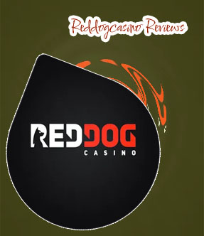 Red dog casino no deposit bonus